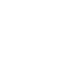 Toggle chronological order